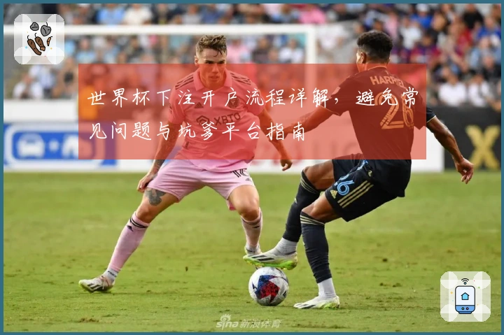 世界杯下注开户流程详解，避免常见问题与坑爹平台指南