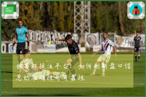 世界杯投注平台：如何判断盘口信息的准确性与可靠性