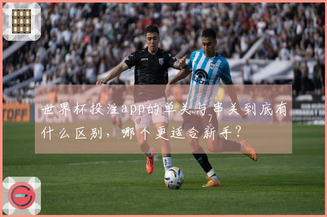 世界杯投注app的单关与串关到底有什么区别，哪个更适合新手？