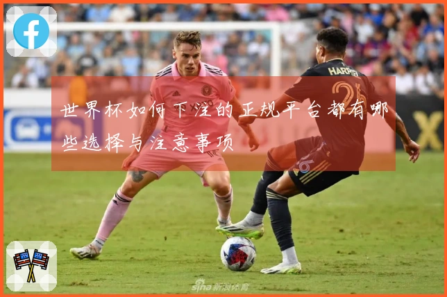 世界杯如何下注的正规平台都有哪些选择与注意事项