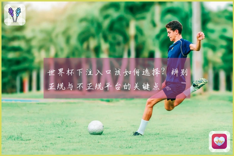 世界杯下注入口该如何选择？辨别正规与不正规平台的关键点