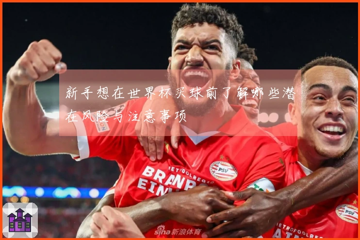 新手想在世界杯买球前了解哪些潜在风险与注意事项