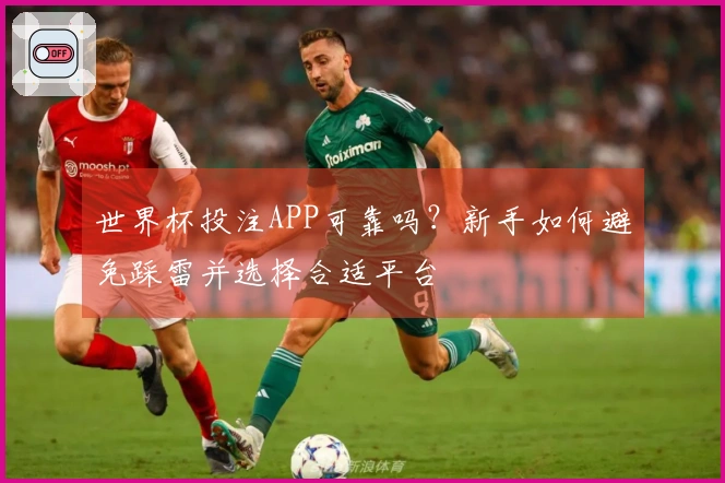 世界杯投注APP可靠吗？新手如何避免踩雷并选择合适平台