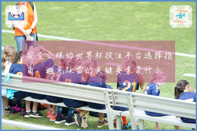 安全合规的世界杯投注平台选择指南，避免踩雷的关键要素是什么