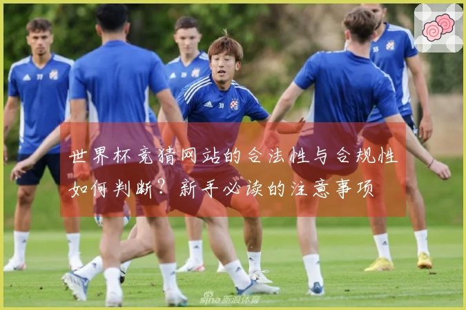 世界杯竞猜网站的合法性与合规性如何判断?新手必读的注意事项