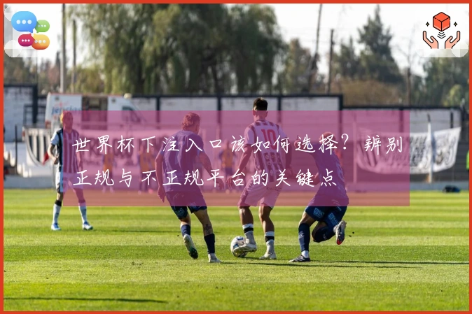 世界杯下注入口该如何选择？辨别正规与不正规平台的关键点