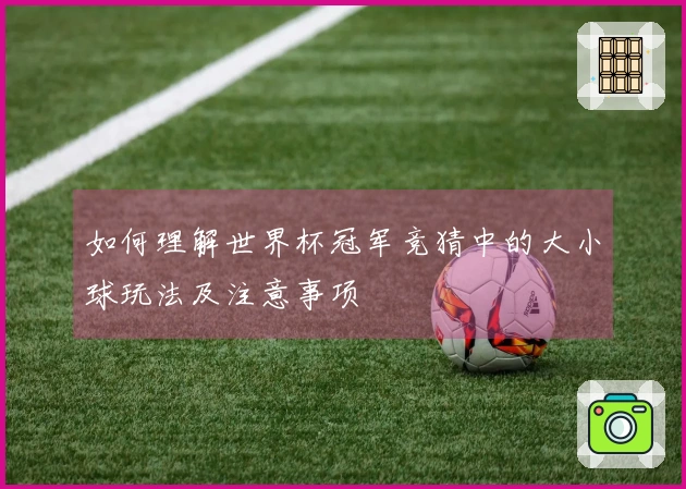 如何理解世界杯冠军竞猜中的大小球玩法及注意事项