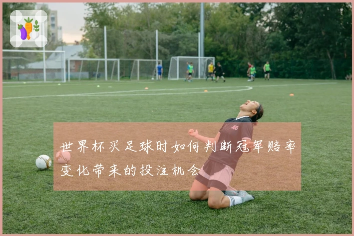 世界杯买足球时如何判断冠军赔率变化带来的投注机会