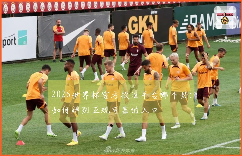 2026世界杯官方投注平台哪个好：如何辨别正规可靠的入口