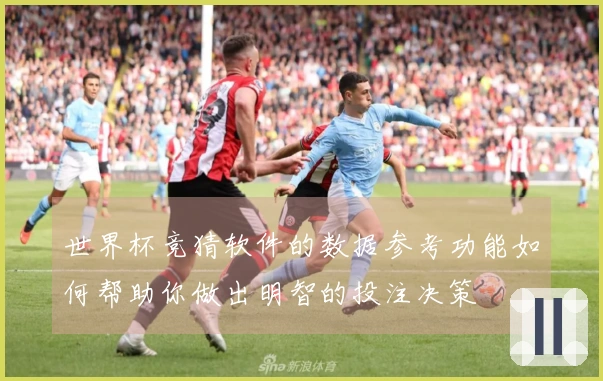 世界杯竞猜软件的数据参考功能如何帮助你做出明智的投注决策