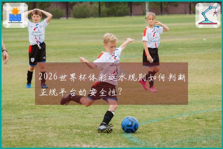 2026世界杯体彩返水规则如何判断正规平台的安全性？