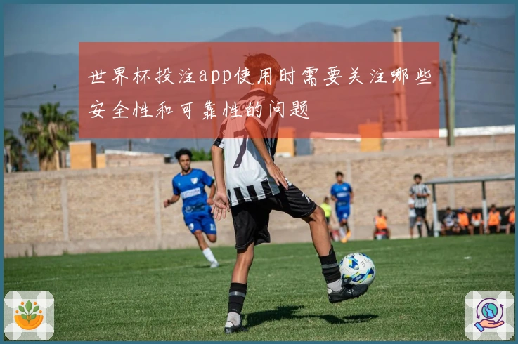 世界杯投注app使用时需要关注哪些安全性和可靠性的问题