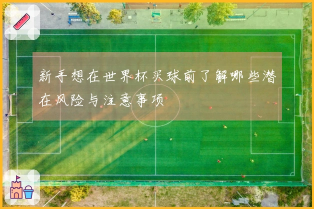 新手想在世界杯买球前了解哪些潜在风险与注意事项
