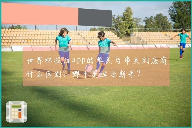 世界杯投注app的单关与串关到底有什么区别，哪个更适合新手？
